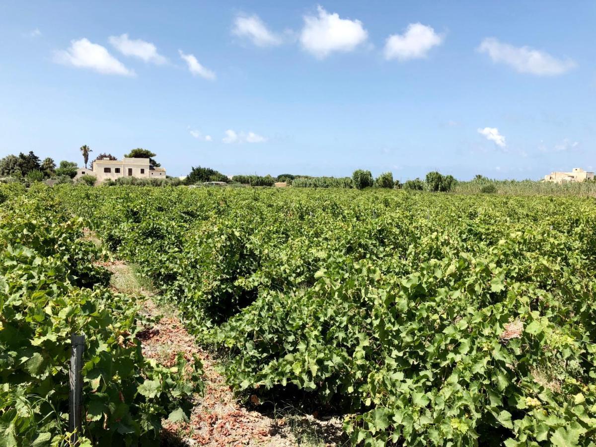 Villa Salinara 马尔萨拉 外观 照片