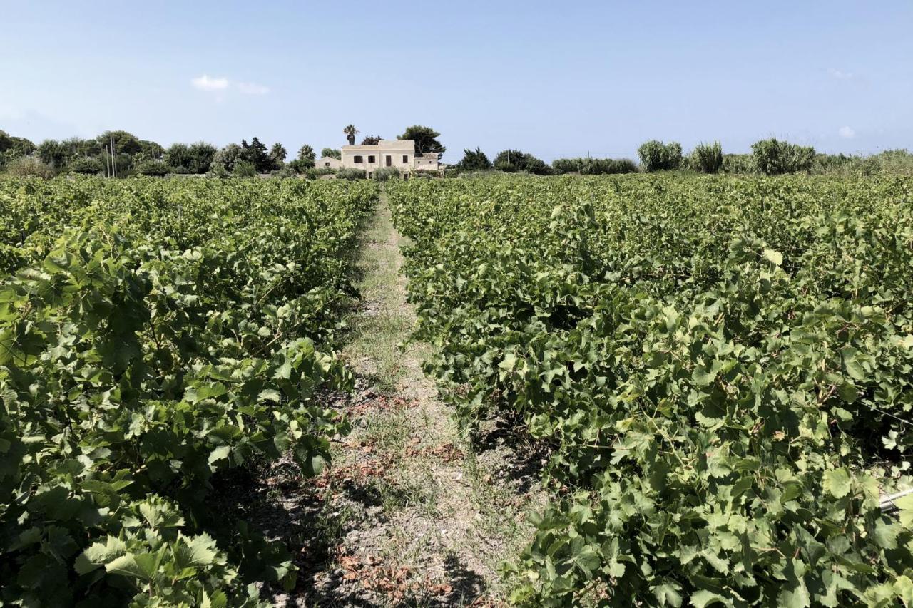 Villa Salinara 马尔萨拉 外观 照片